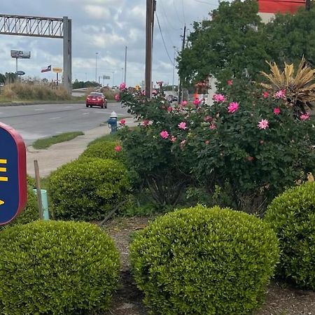 Raintree Inn And Suites Houston Dış mekan fotoğraf